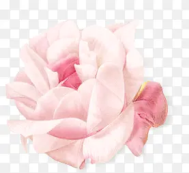 时尚粉红花朵装饰