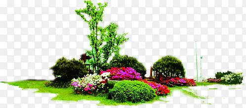 春天景观公园植物装饰
