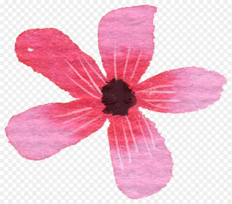 粉红彩绘手绘花朵