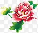 中秋节手绘彩色九月菊