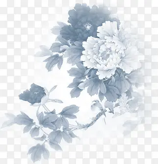 中秋节黑白色九月菊