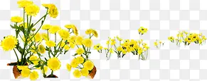 春天黄色雏菊装饰