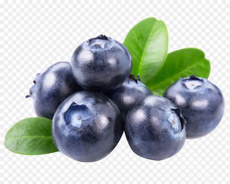 小小蓝莓蓝莓
