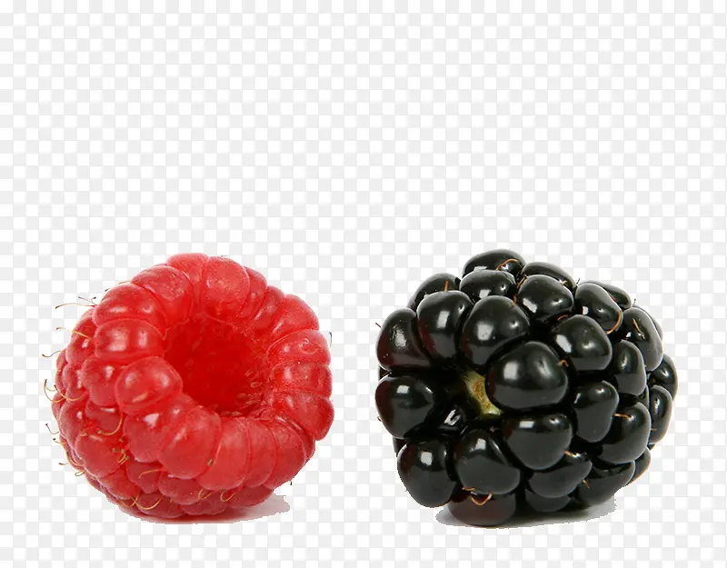 山莓黑莓果实