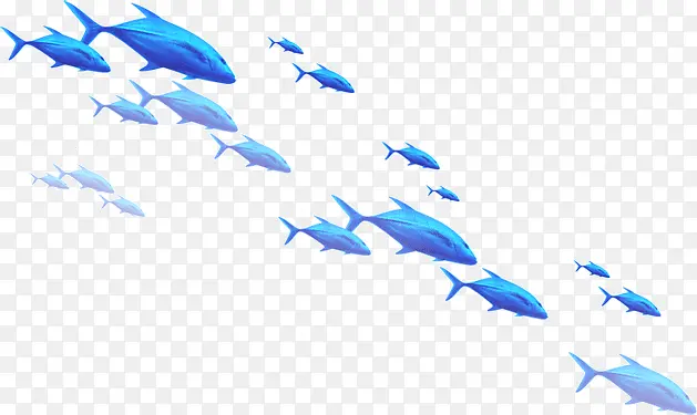鱼 热带鱼 蓝色