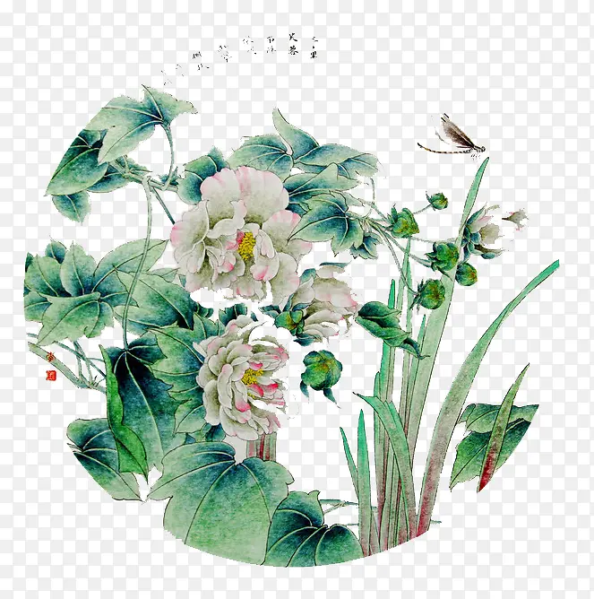 手绘木芙蓉图片