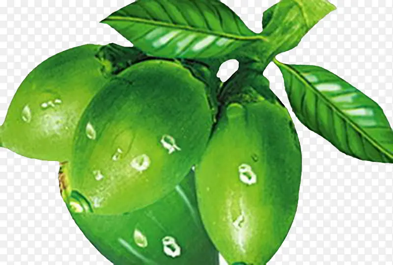 绿色槟榔