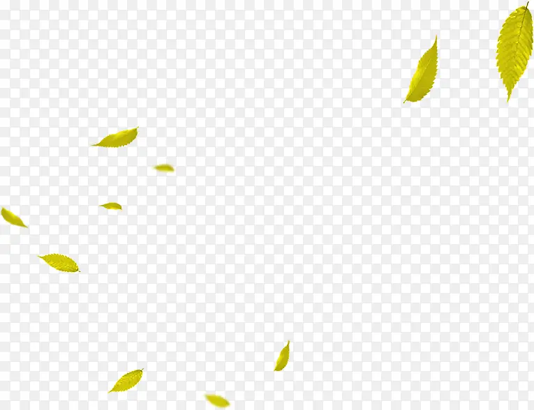 春季漂浮黄色树叶
