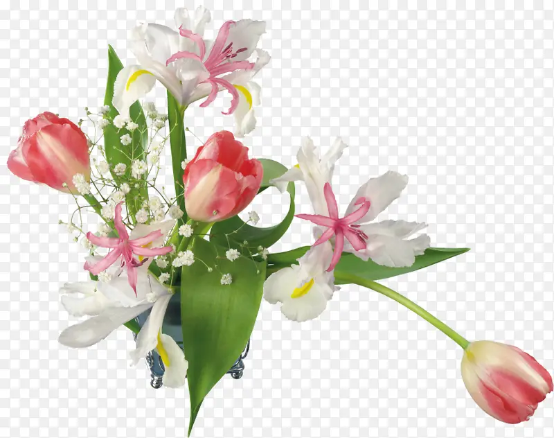 植物花卉素材花卉图案