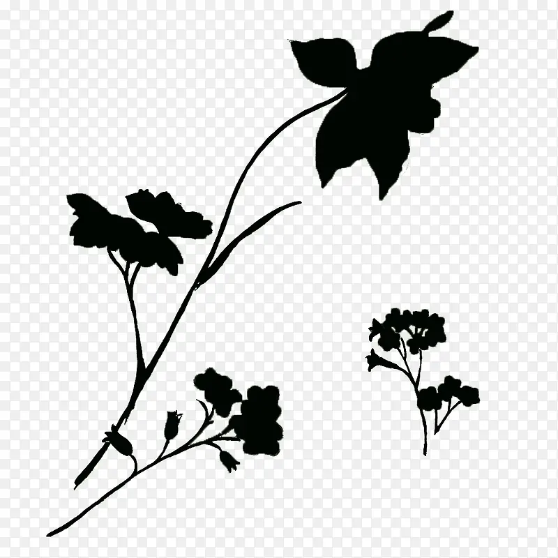 黑色的简洁风花朵装饰背景