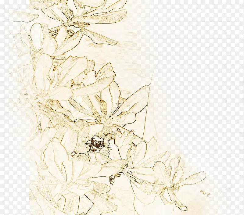 复古花朵设计手绘背景