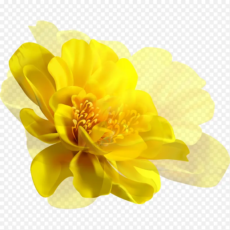 手绘黄花背景图