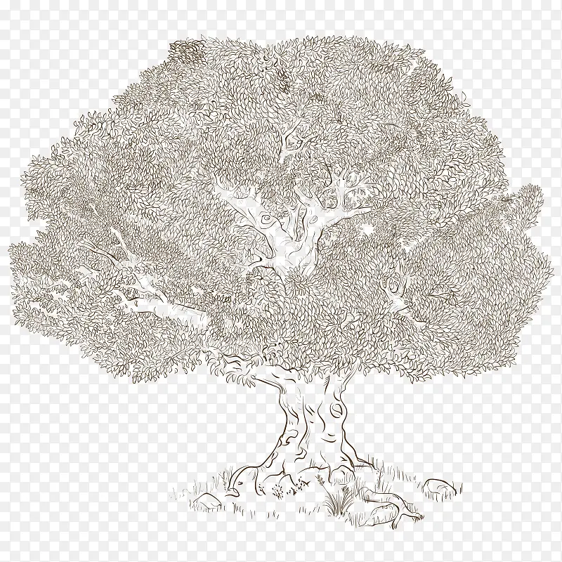 手绘树 树木PNG图片素材下载_图片编号ylbjvnvz-免抠素材网