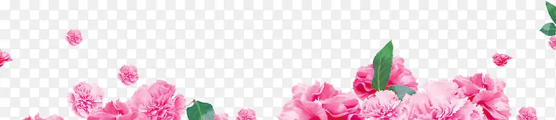 粉色盛开的花朵海报背景