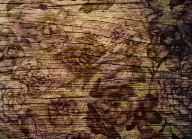 木板上的花朵背景