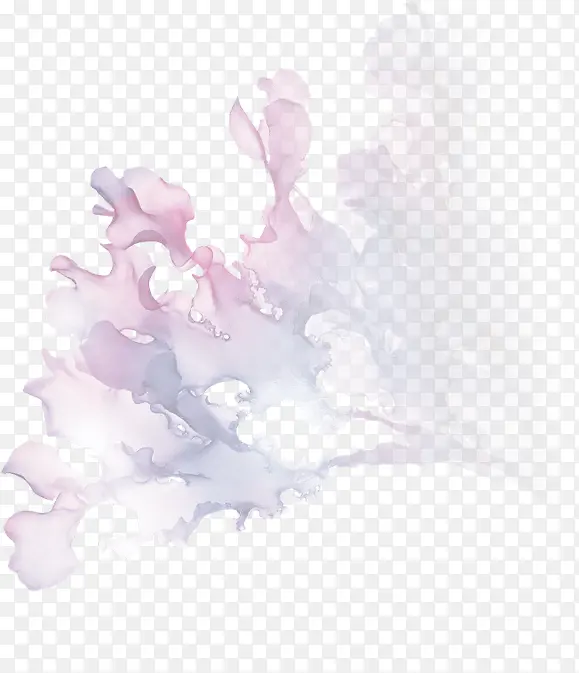 白色朦胧花瓣植物花瓣