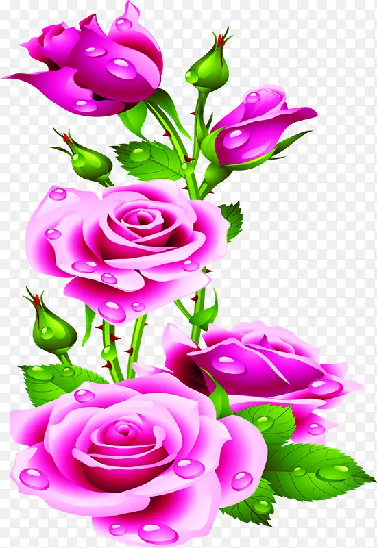 紫色手绘浪漫玫瑰