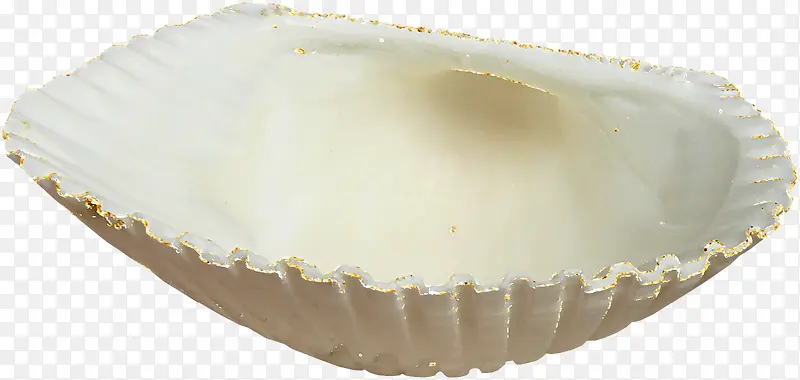 洁白贝壳素材