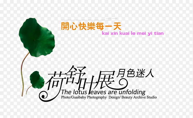 荷舒叶展 月色迷人