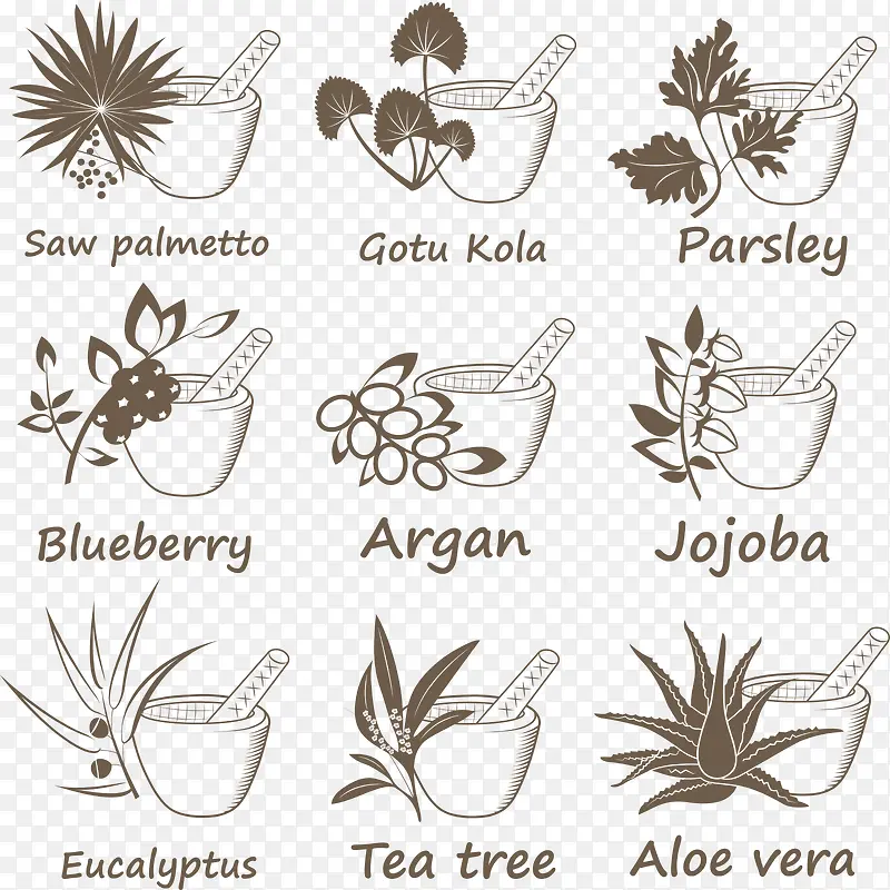 创意植物图标设计