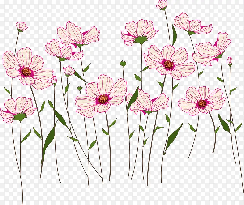 创意合成植物花卉花朵手绘