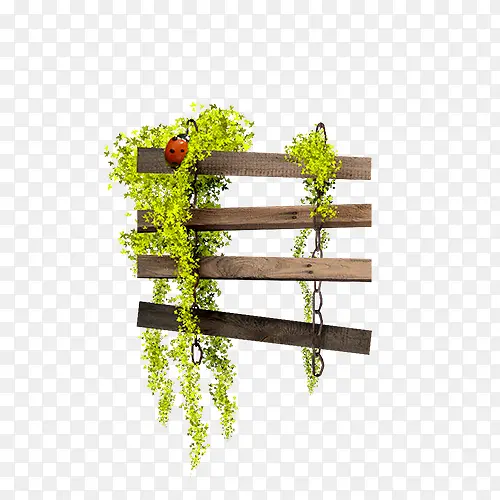 绿色植物创意昆虫