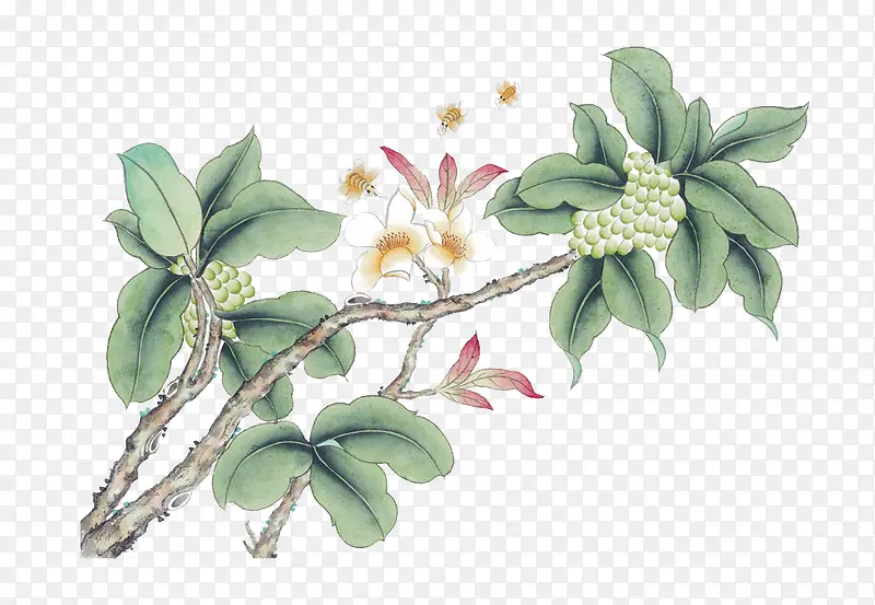 花