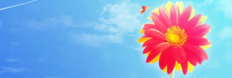 门户网站banner创意设计