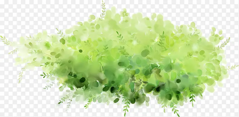 创意手绘水彩绿色的植物