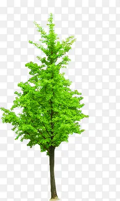 绿色创意植物高清创意元素