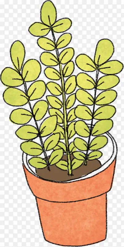 手绘创意黄色的花卉植物