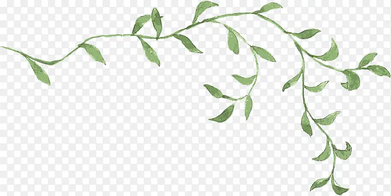 手绘叶子插画素材