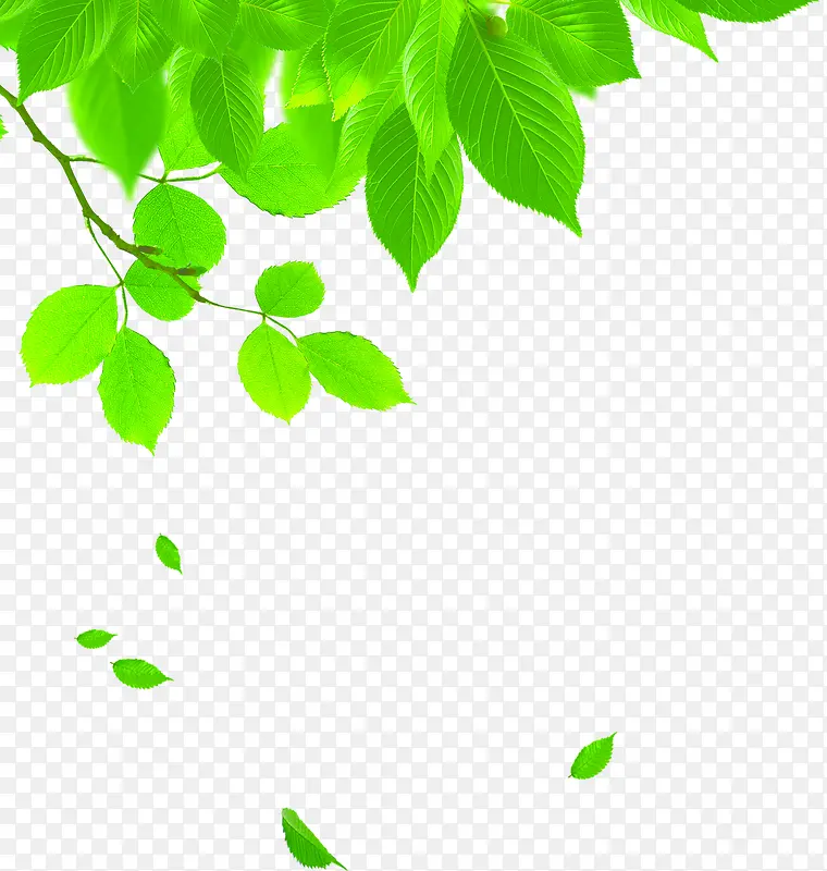 创意元素绿色植物树叶PNG图片素材下载_图片编号qonxngeb-免抠素材网