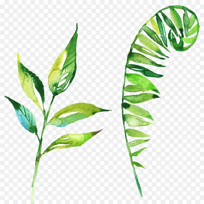 绿色创意复古合成树叶草本植物
