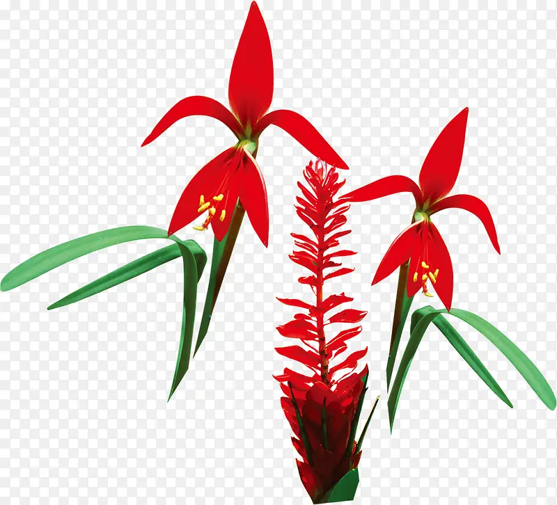 创意手绘红色的花卉植物设计
