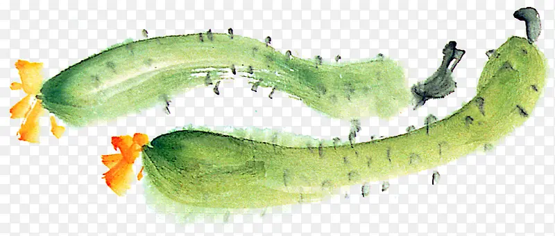 创意手绘蔬菜绿色的植物丝瓜
