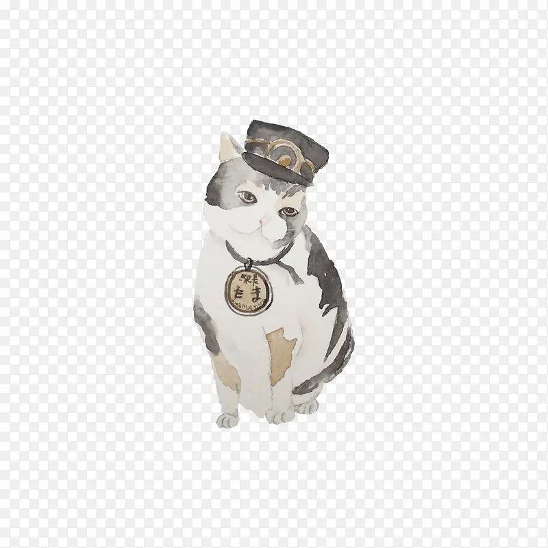 手绘猫