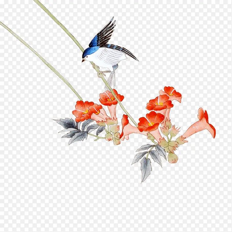 花鸟图
