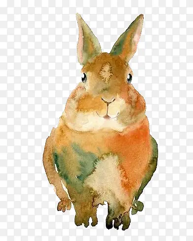 手绘水彩兔子