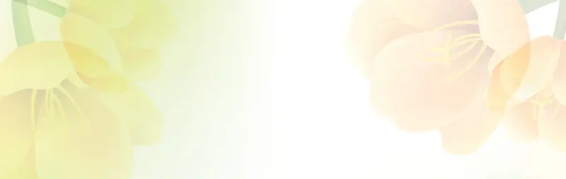 百合花唯美背景banner　