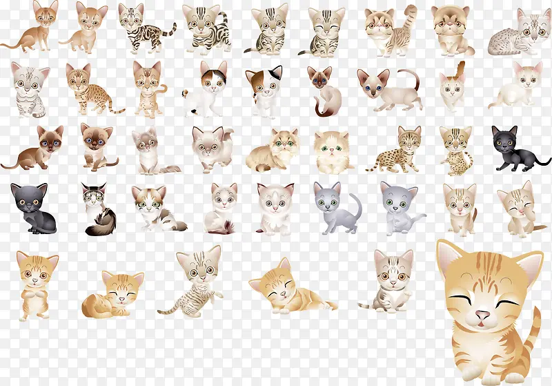 可爱小猫