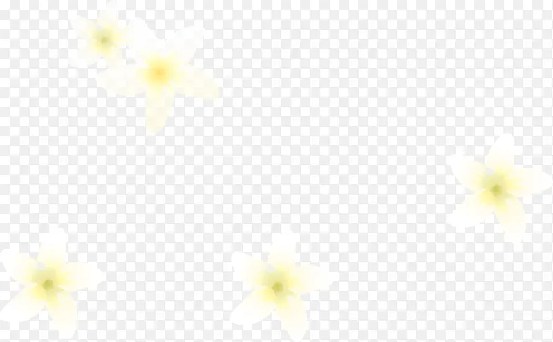 百合花
