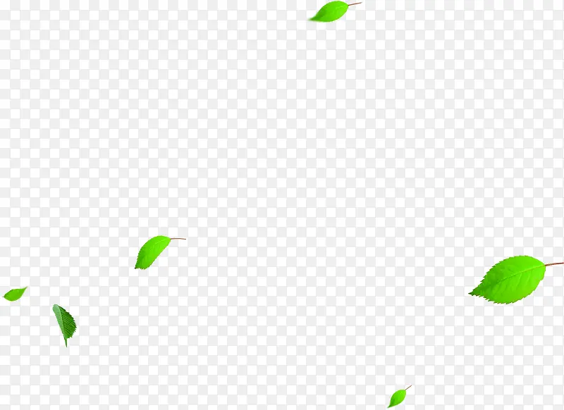 绿色漂浮春季树叶文艺装饰