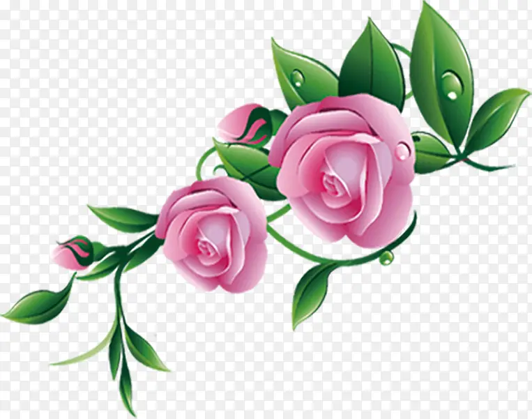 粉色手绘新鲜花朵露珠