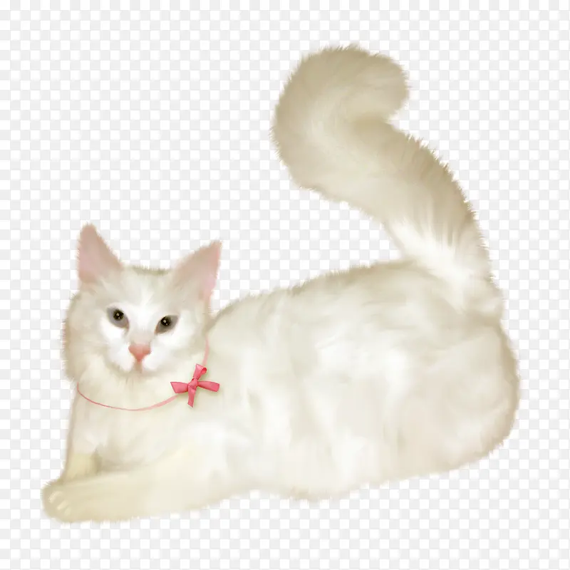 手绘猫咪