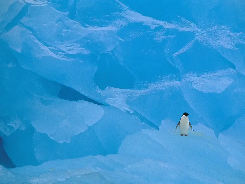 冰天雪地风景制作