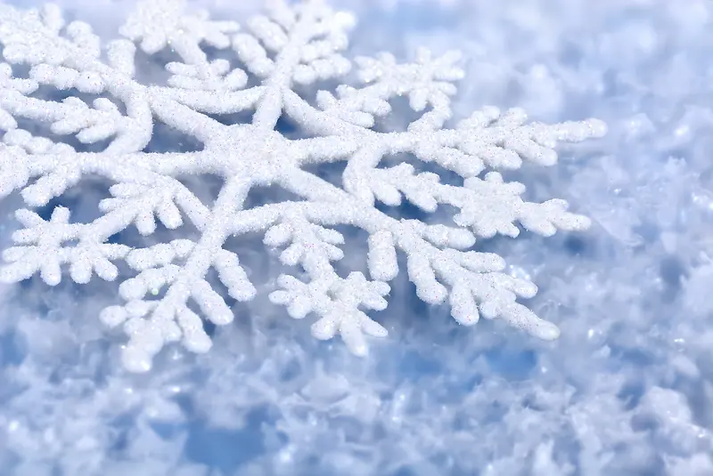 雪地上的雪花