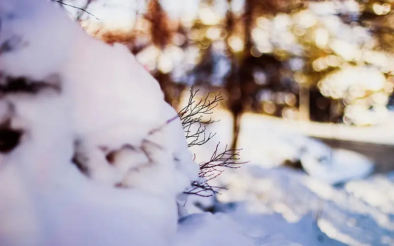 雪地阳光宽屏壁纸