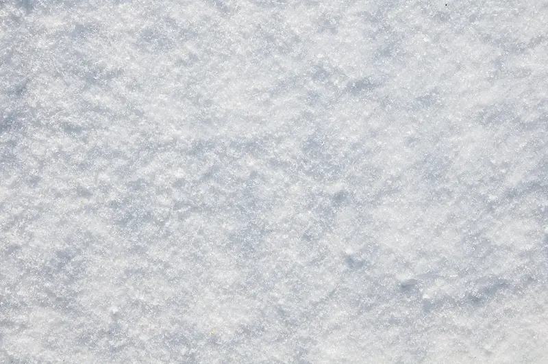 冬天雪地摄影