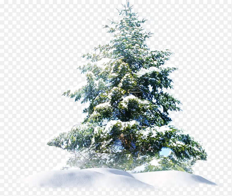 冬日创意树木雪地